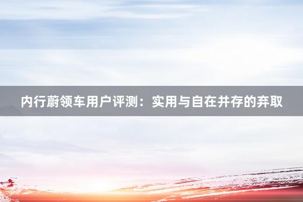 内行蔚领车用户评测：实用与自在并存的弃取