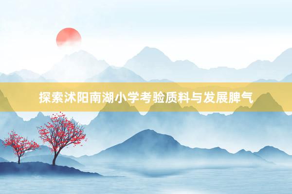 探索沭阳南湖小学考验质料与发展脾气