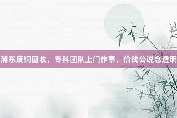 浦东废铜回收,专科团队上门作事,价钱公说念透明